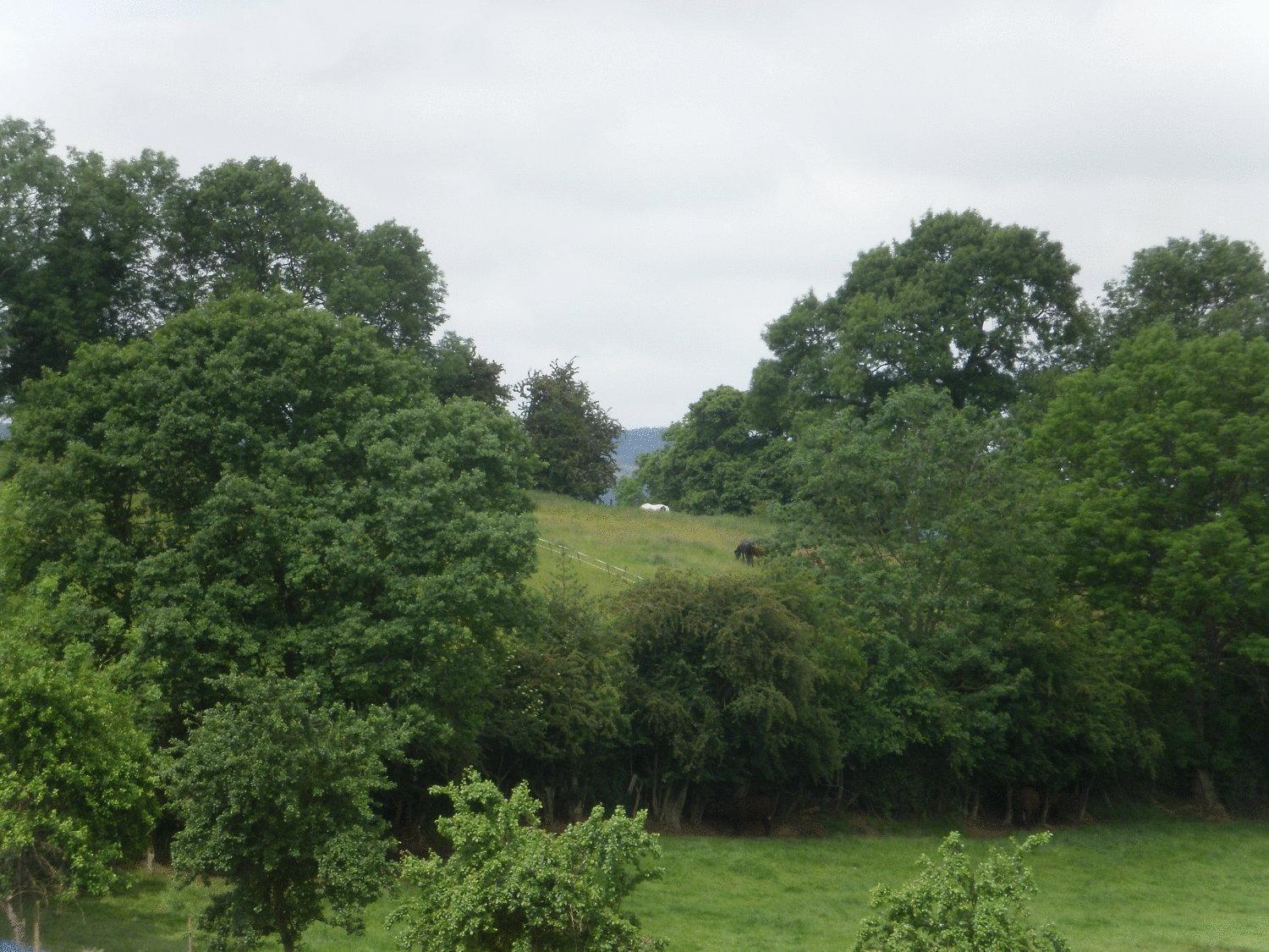 Stone Hill Farm B&B Shrawley Dış mekan fotoğraf